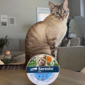 Seresto