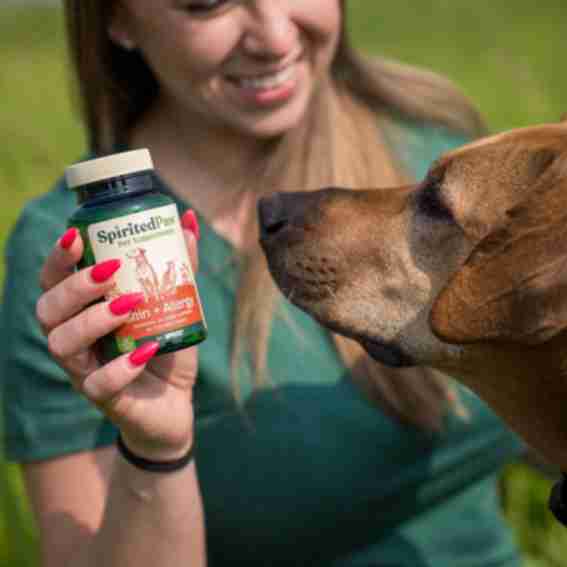 Spirited Paw Reviews