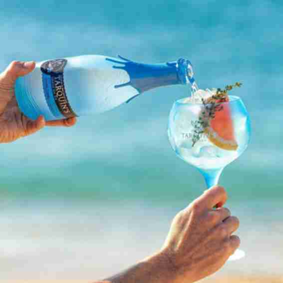 Tarquin’s Gin Reviews