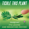 TickleMe Plant