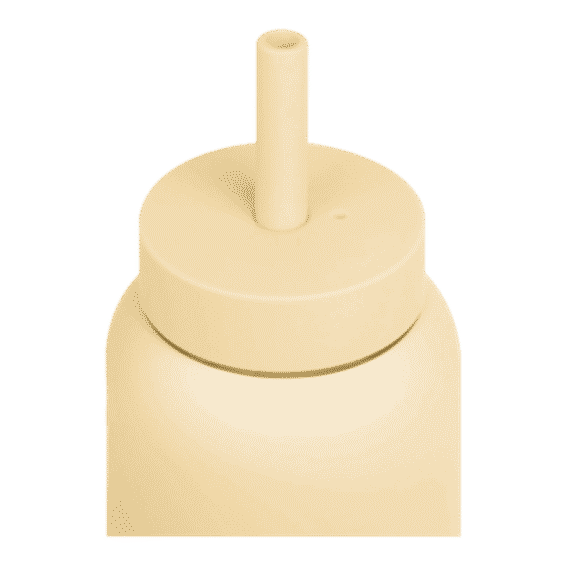 Mini Bottle 17oz Lounge Straw Cap