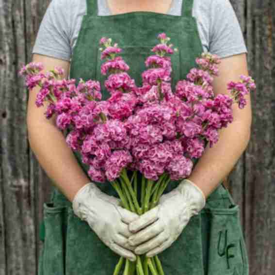 Urban Farmer Reviews