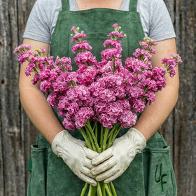 Urban Farmer