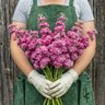 Urban Farmer