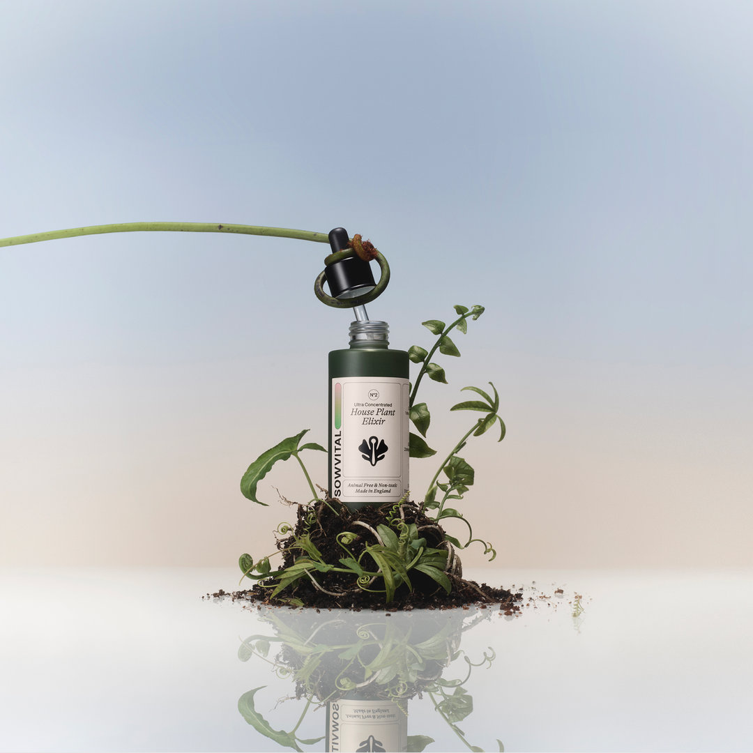 Buy Sowvital House Plant Elixir | Thingtesting