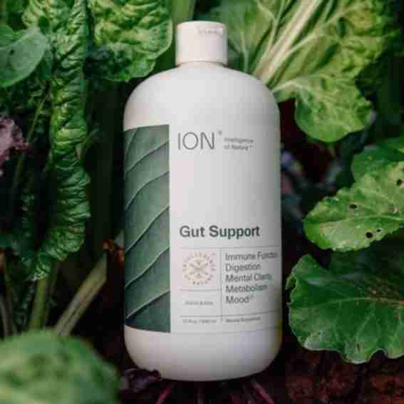 ION Biome Reviews