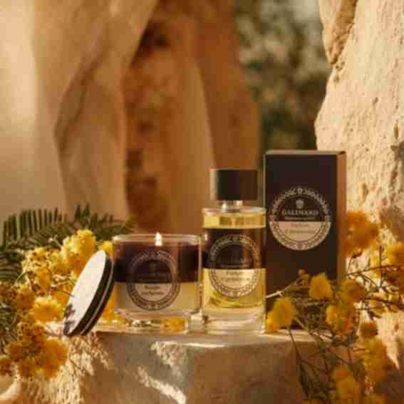 Galimard Reviews