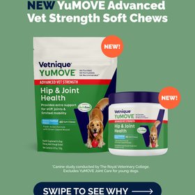 Vetnique Labs