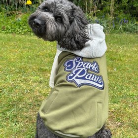 Spark Paws