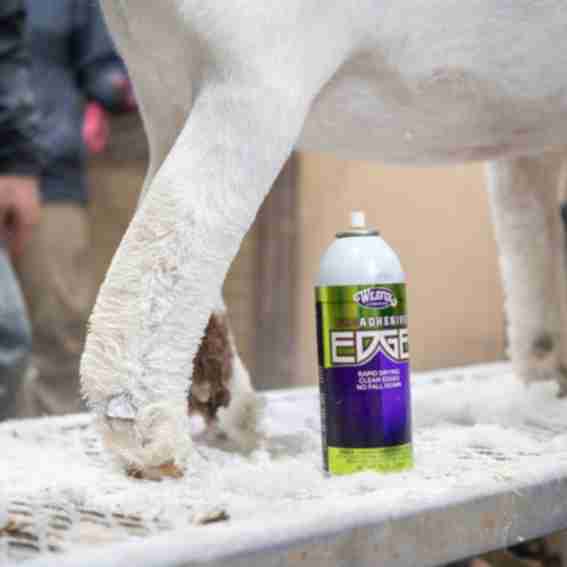Weaver Livestock Reviews