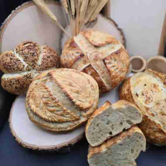 Simply Doughlectable Reviews