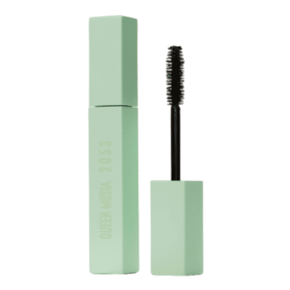 Mascara 2053 