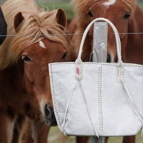 Pata Lifestyle (patalifestyle.com)