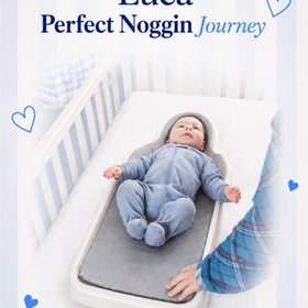 PerfectNoggin