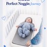 PerfectNoggin