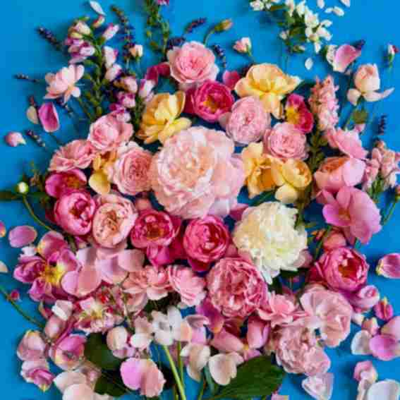 London Blooms Reviews
