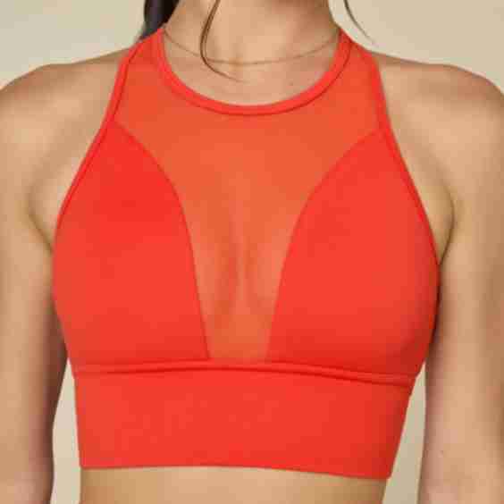 Stellar Bra