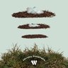 Woolybubs