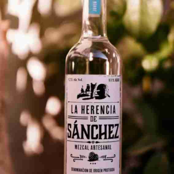 Rey Campero Reviews