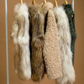 Birds of a Feather Couture