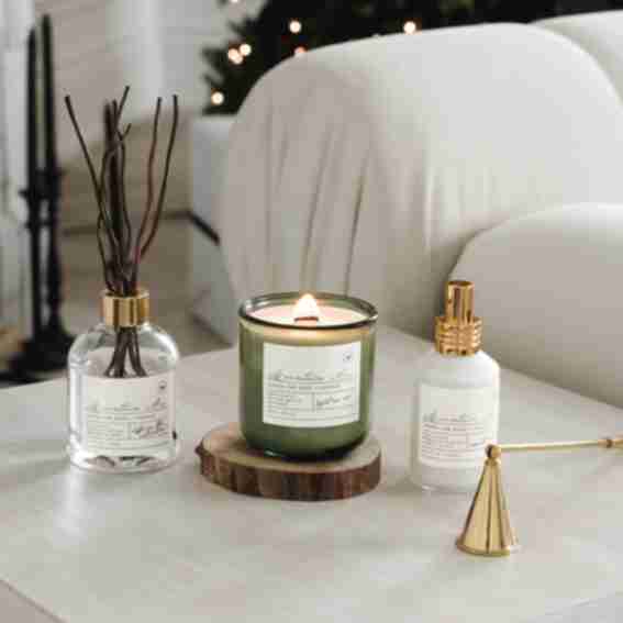 Bailey Bee Reviews