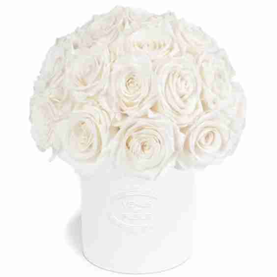 Fleura Eternity Rose Porcelain Vase