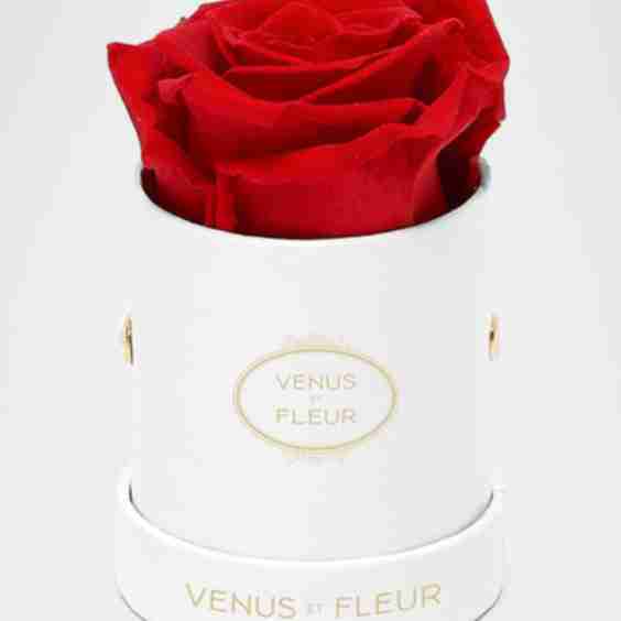 Classic Mini Round Rose Box