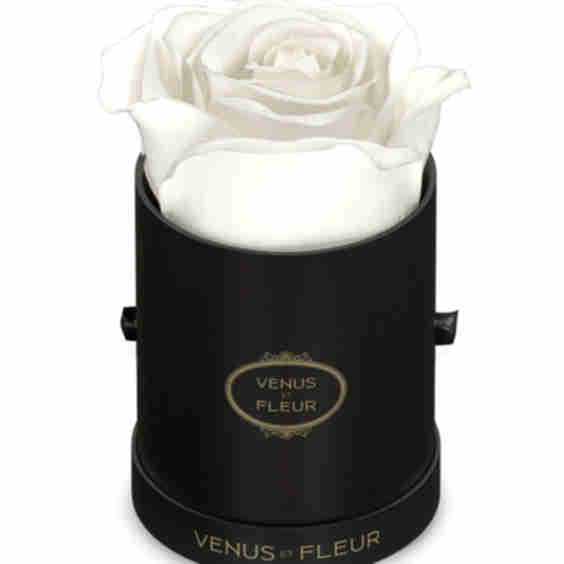 Eternity de Venus Le Mini Round Eternity Rose