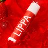 Lippa
