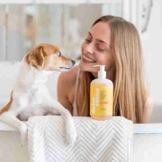 Divine Canine Reviews