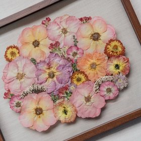 White Poppy Preservation