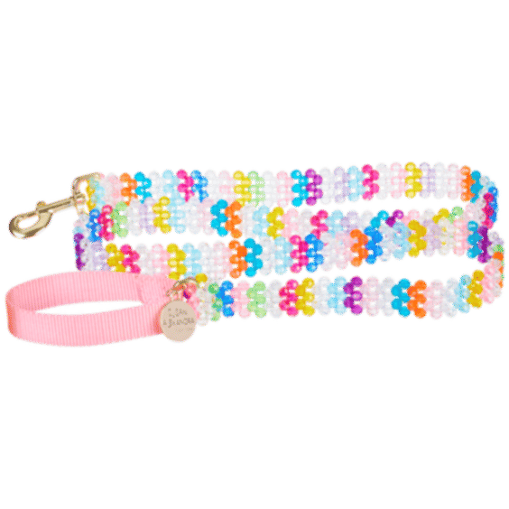 Merry Dog Leash