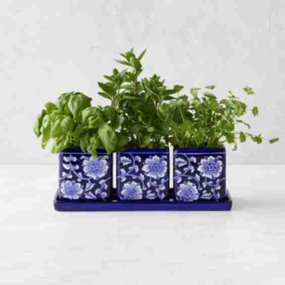 Blue & White Ceramic Herb Tray with Pots Set of 3