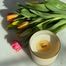 Twig + Ember Candle Co.