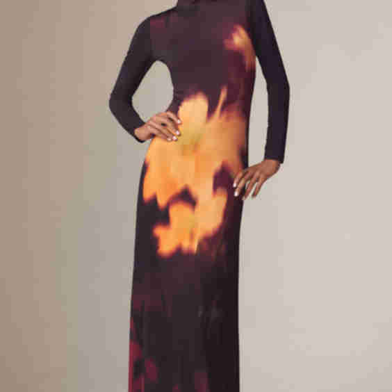 Nova Long Sleeve High Neck Maxi Dress