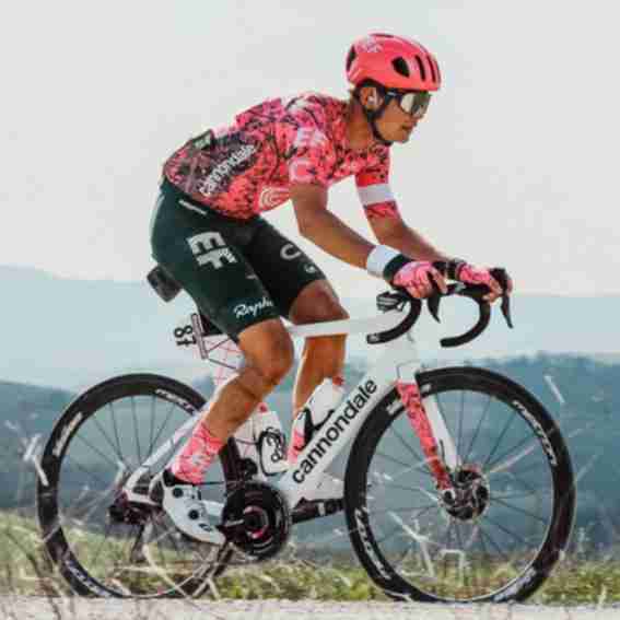 Rapha Reviews