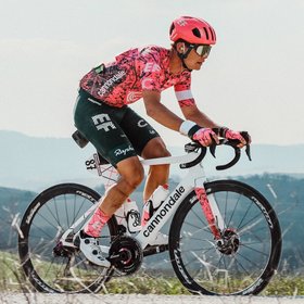 Rapha