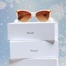 Lucyd Eyewear