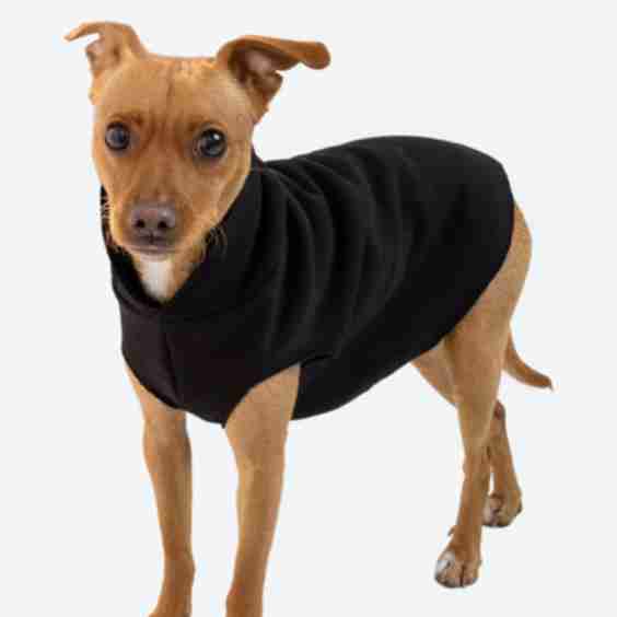 Hooded Dog Sweater
