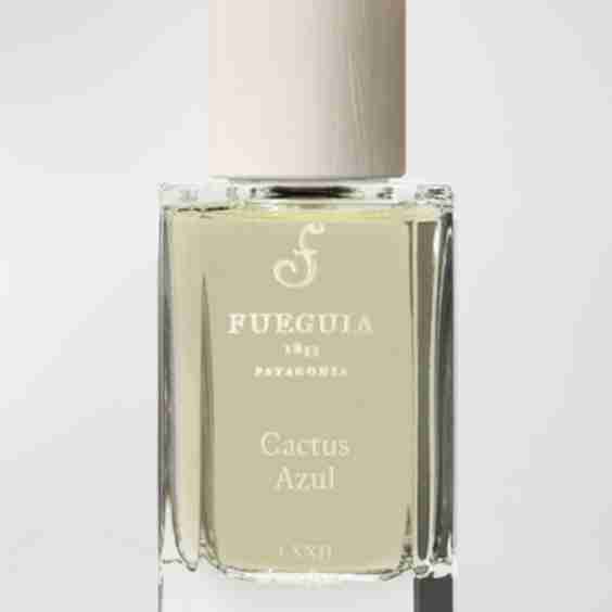 Cactus Azul Perfume