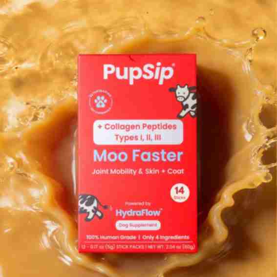 PupSip Reviews