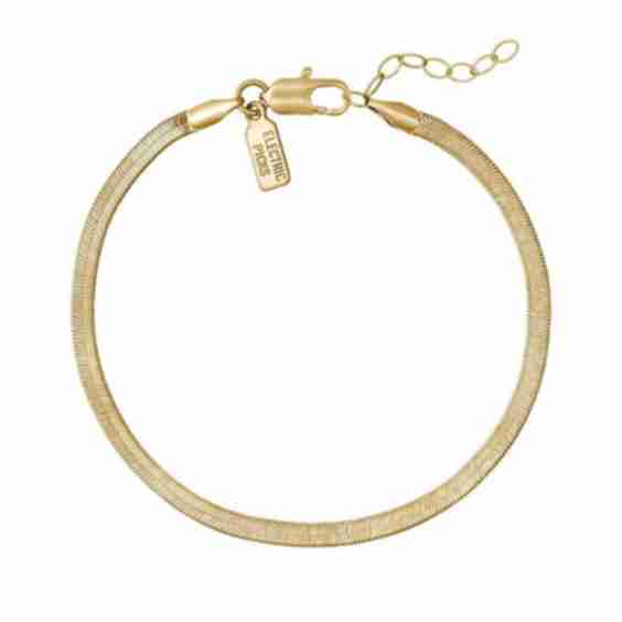 Python Anklet