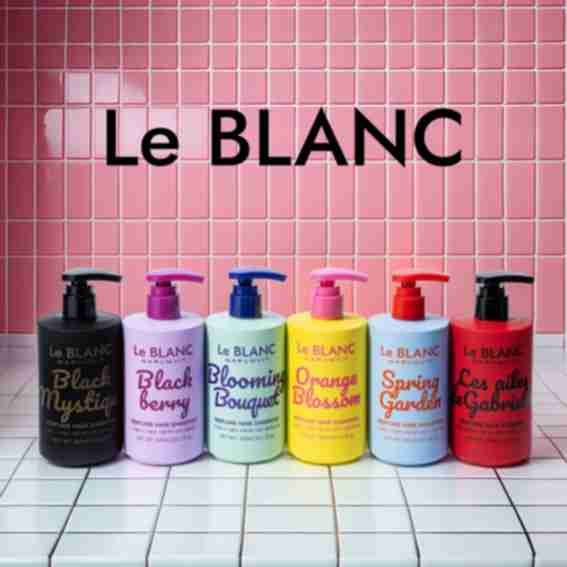 Le BLANC Reviews