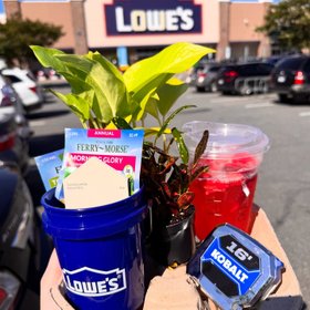 Lowes