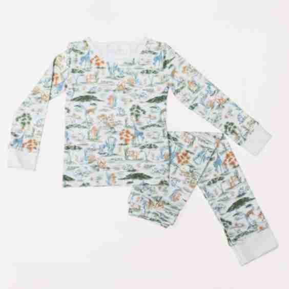 The Two Piece Pajama Set