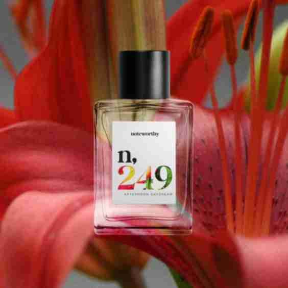 n,249 Afternoon Daydream