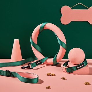 Wanderruff