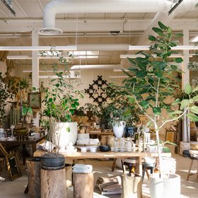 Apostrophe Home