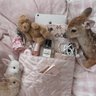 Pocketsbymm