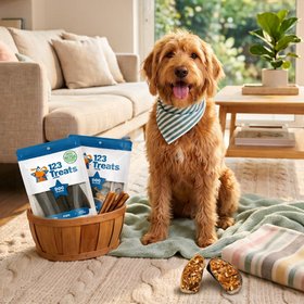 123 Treats